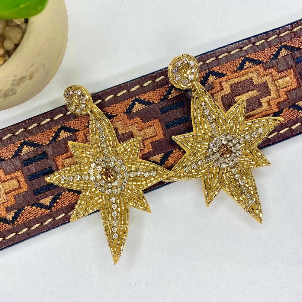 Start dust earrings